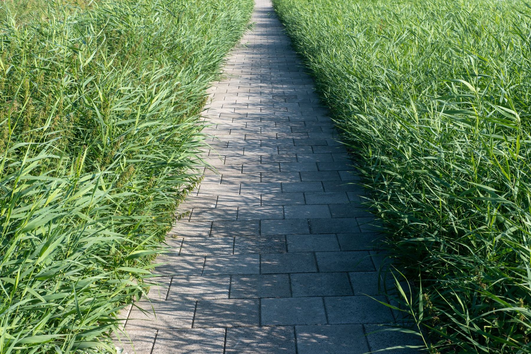 Turf & Paver Combos in Goodyear AZ