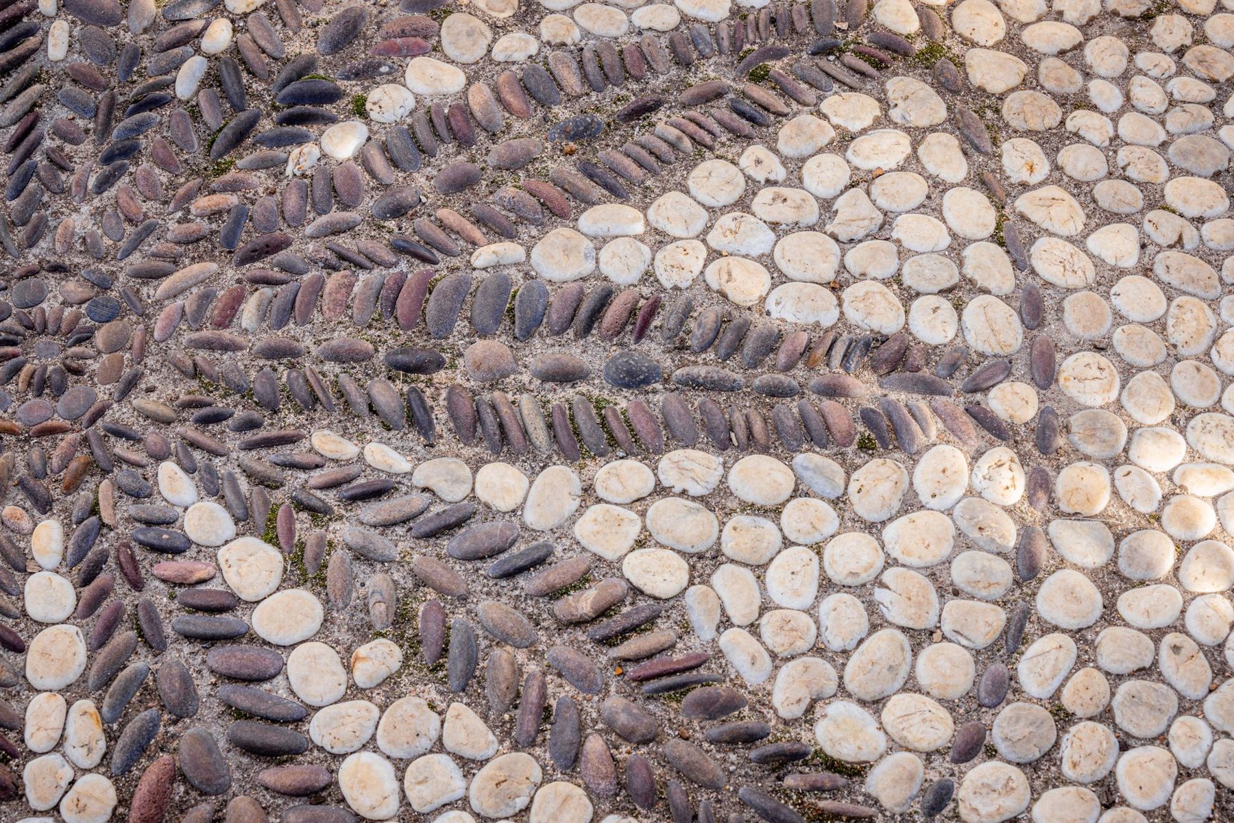 Walkways & Paths in Goodyear AZ